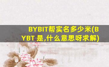 BYBIT帮实名多少米(BYBT 是,什么意思呀求解)